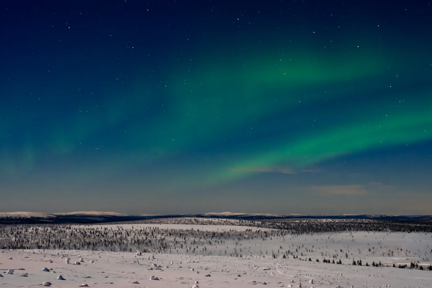 Faint green aurora bands across a deep blue starry sky above a wide snowy fell with scattered small trees