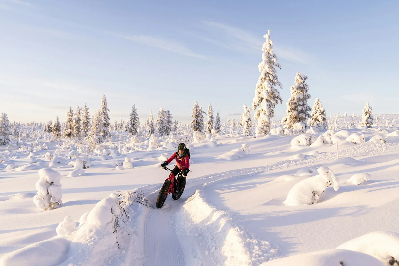 A cyclist in a red jacket riding a fatbike along a narrow packed-snow track between snow-laden spruce trees under a pale sky