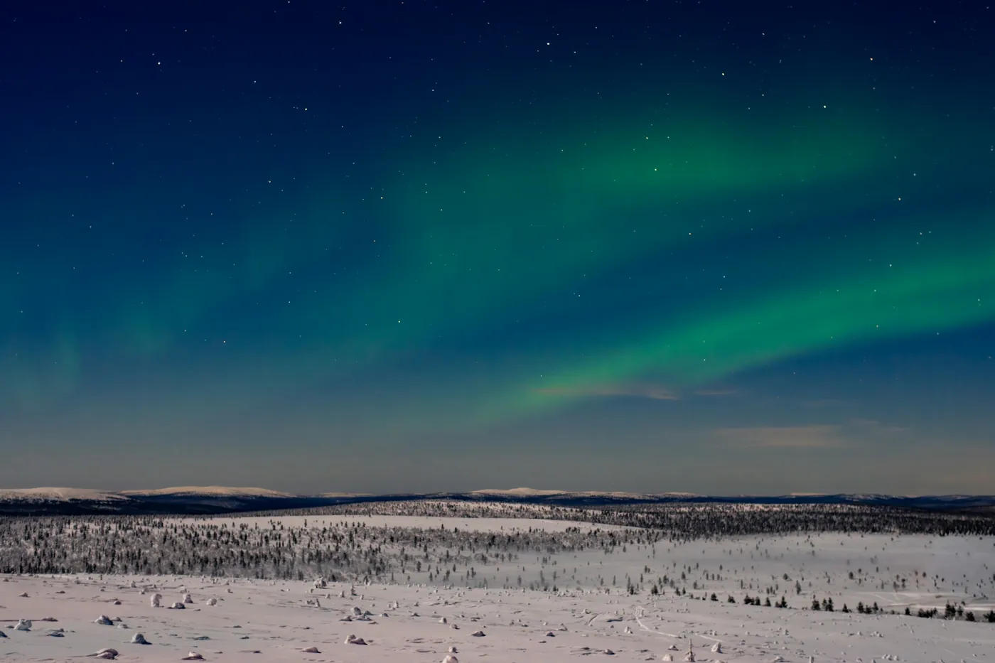 Grünes Nordlicht am Sternenhimmel über einer weiten Schneefläche mit vereinzelten niedrigen Bäumen und runden Fjells am Horizont