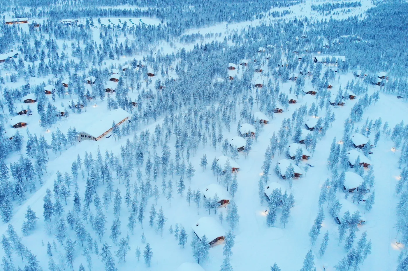 Aerial view of a snow-covered pine forest with small cabins and a larger building between the trees, lights glowing in the blue dusk