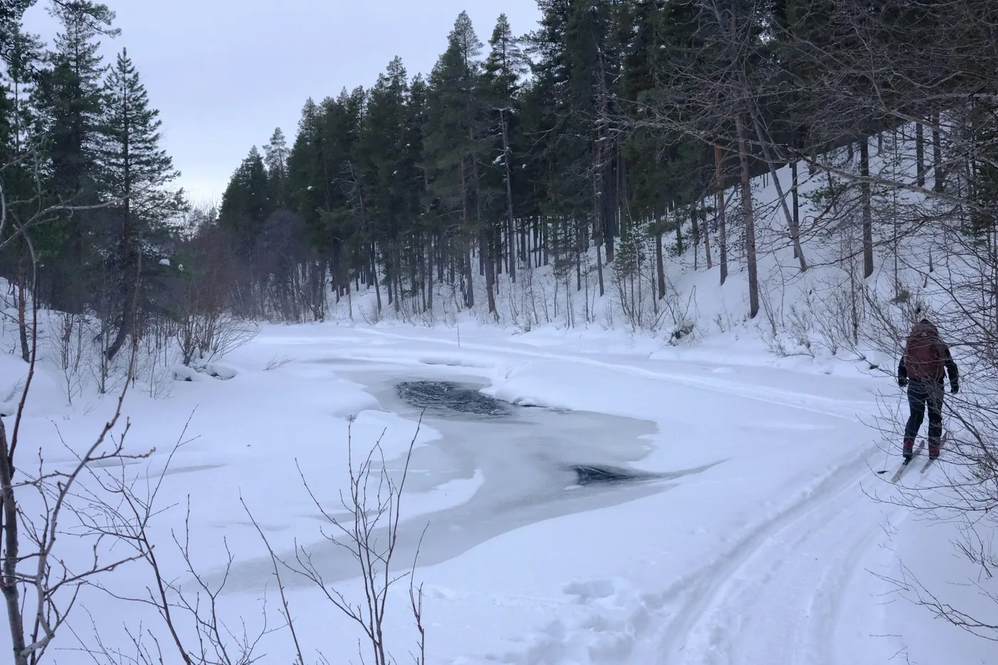 A cross-country skier with a red backpack on a groomed track beside a partly frozen river in a snowy pine forest