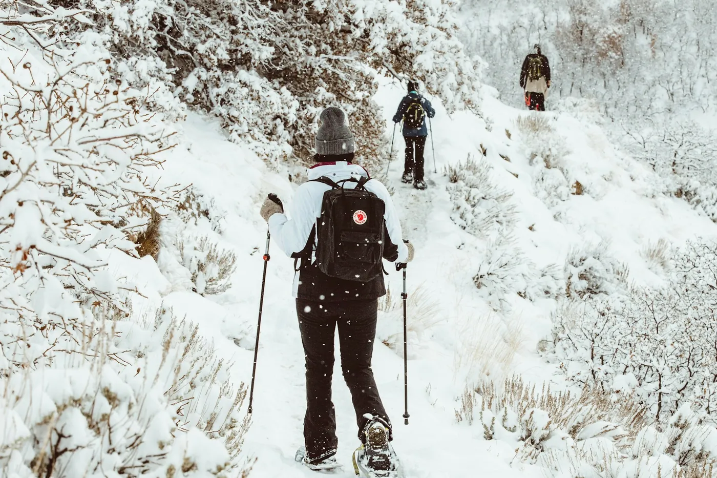 Tres personas con bastones y mochilas caminan en fila por un sendero nevado entre arbustos escarchados, la más cercana con gorro gris y chaqueta blanca